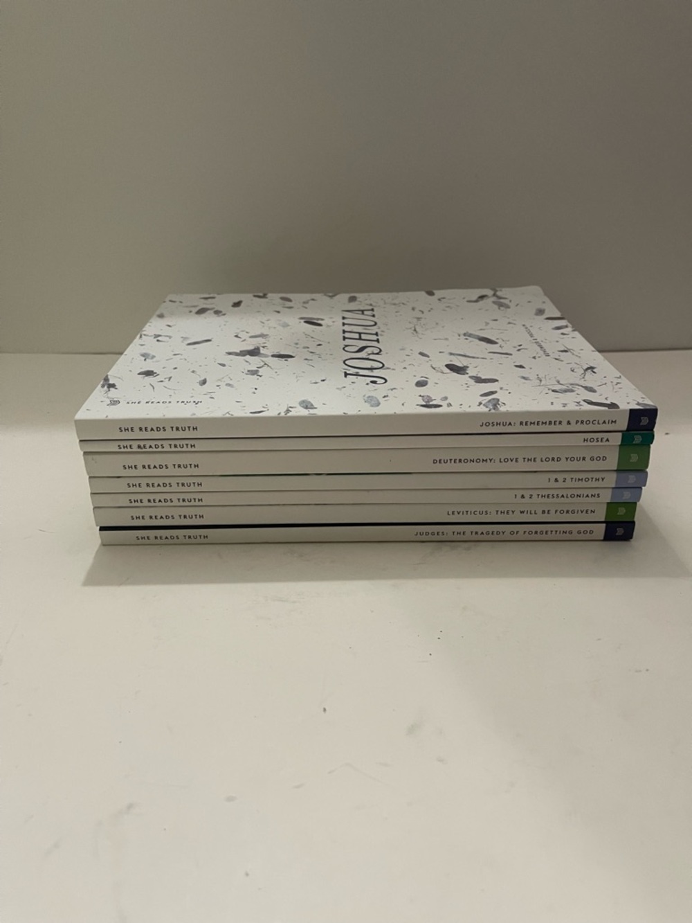 She Reads Truth Lot of 7 Bible Study GuideBook Old New Testament Romans Lent